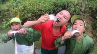 CÁ GỎI Sashimi Kiểu AE NSTB