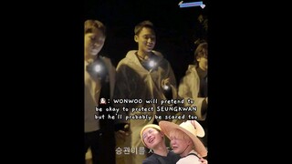 mingyu said wonwoo will pretend to be okay to protect seungkwan but probably also scared #GOING_SVT