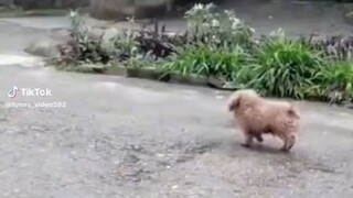 #being alone is a amazing😀