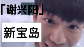 【谢兴阳版新宝岛】笑拉了家人们 都进来给我看！