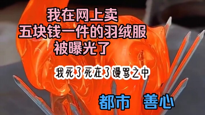 I got exposed for selling $5 puffer jackets online...