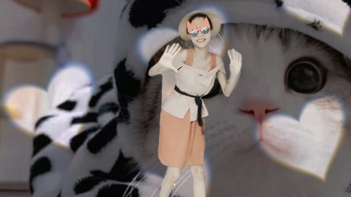 Mèo con #animecover #dance #xuhuong