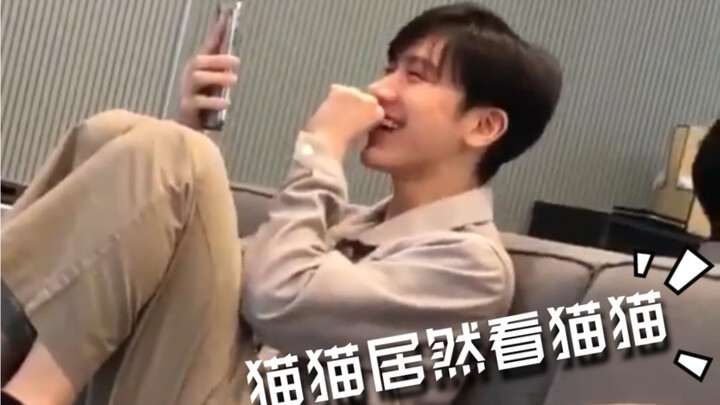 【TEN ลี ยงชิน】อึ้ง!! แมวเหมียวดันเข้าอินเทอร์เน็ตมาดูคลิปแมวด้วยกันเอง! อีกหนึ่งคลิปถ่ายสดแตะร้อยล้า