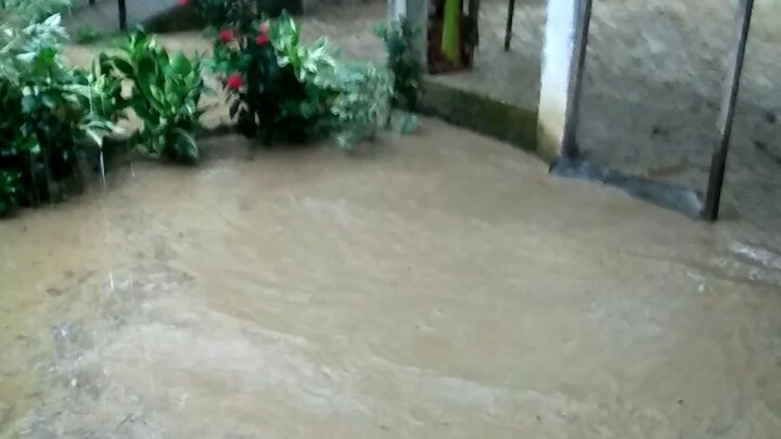 grave ka bagyong oddet hohoho