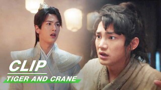 Huzi Aaves People from the Fire Regardless of Danger | Tiger and Crane EP01 | 虎鹤妖师录 | iQIYI