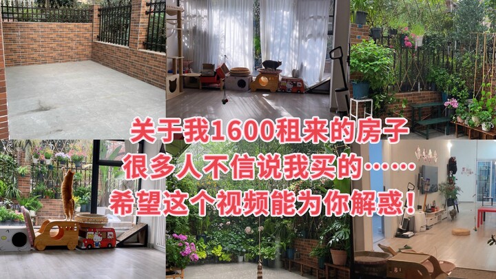 I live with my 12 beloved cats in a house that costs 1,600 yuan a month, complete with a 40-square-m
