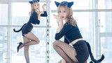 [Like A Cat] Tarian Korea-Ayo Ambil Kucingmu