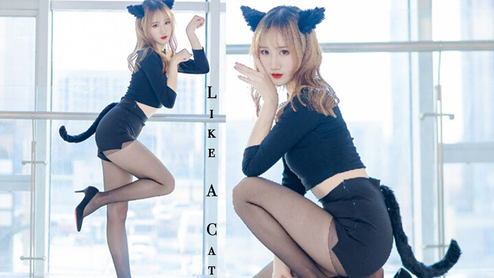 โพสต์แรกที่เต้นเพลงเกาหลี คัฟเวอร์แดนซ์ Like A Cat เหมือนกับแมว