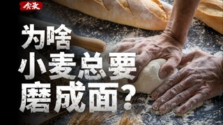 Why can rice be eaten raw, but wheat is always ground into flour? [Food Records]