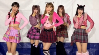 【NewJeans】Hãy cho tôi biết