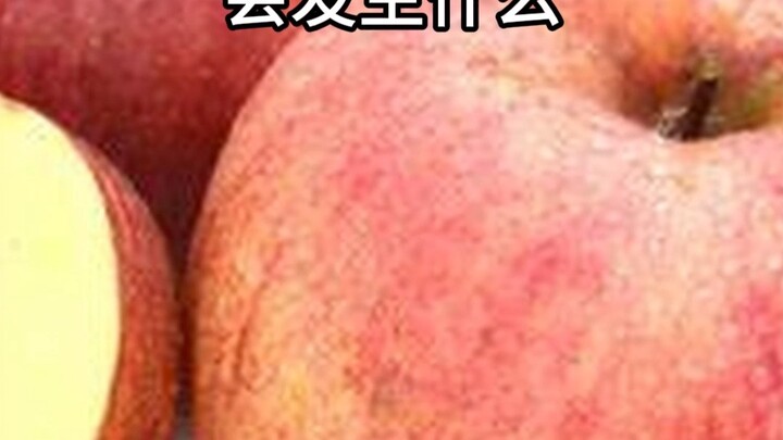 把这张苹果喂给AI迭代500次会发生什么