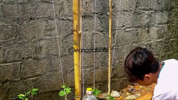 How to plant in a small area.