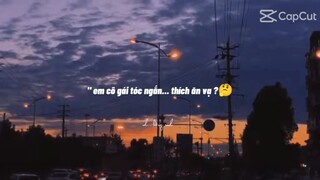 hảo nhạc 😹