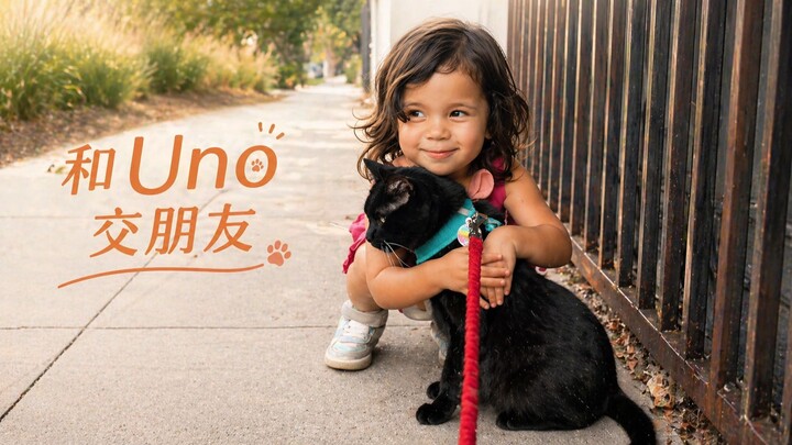 Kết bạn với mèo con Uno! Ngọt đến mức tim tôi như rụng rời 🥹