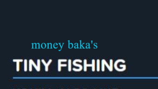 TINY FISHSING
