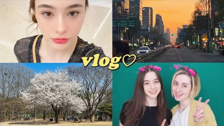 Vlog♡Bagian 2 Sakura di Seoul | Ayo foto bersama & unboxing hadiah dari penggemar!