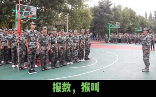 Did军训 turn a bunch of people into monkeys???