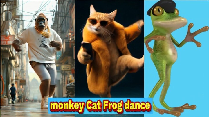 猴子猫青蛙儿童舞蹈音乐 - Monkey Cat Frog dance Music FOR  Children - 猴子貓青蛙兒童舞蹈音樂 2026