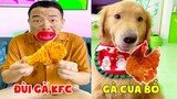 Thú Cưng Vlog | Tứ Mao Ham Ăn Đại Náo Bố #13 | Chó gâu đần thông minh vui nhộn | Smart dog funny pet