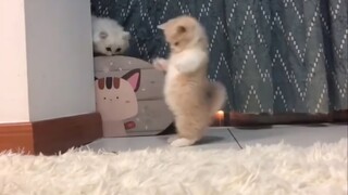 I tell you, that fish is this big