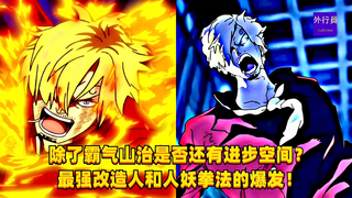 Is there room for improvement besides the domineering Sanji? The strongest cyborg and demon boxing b