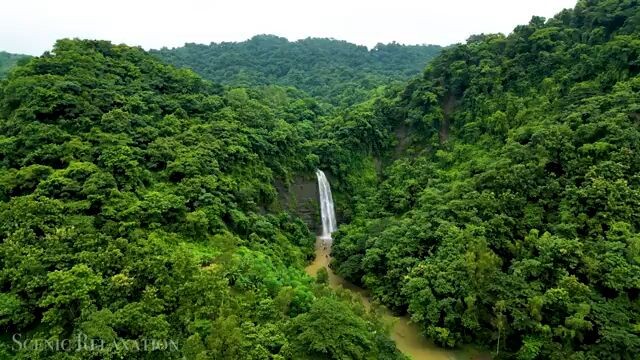 BEAUTIFUL COUNTRY