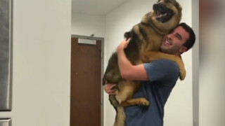I finally understand why dog owners are so anxious to get home!