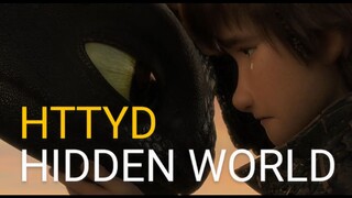 How To Train Your Dragon Hidden World