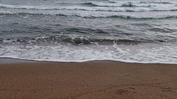 vitaminsea