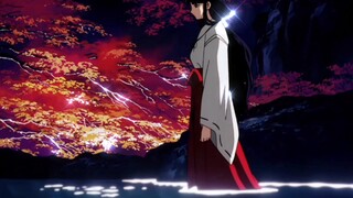 The platycodon in this scene is so beautiful