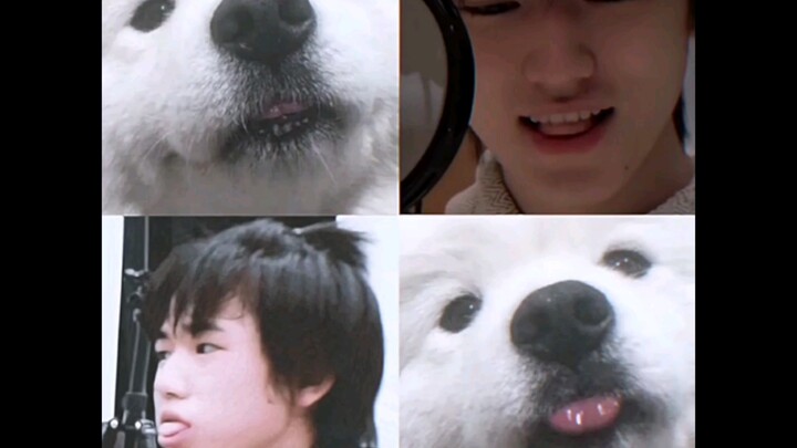 แย่แล้ว ตัวจริงถูกพบเข้าแล้ว…