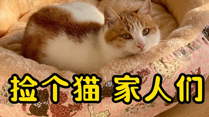 家人们，又捡个猫，这也太……