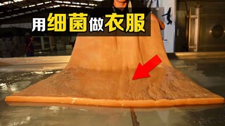 "Warna bakteri" yang luar biasa, pakaian yang terbuat dari bakteri, apakah kamu berani memakainya?
