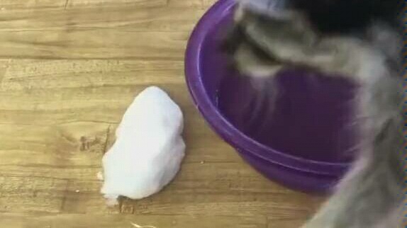 Alright, now it’s time to enjoy the soup...