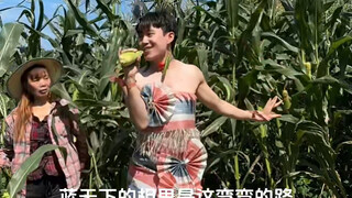 哈哈