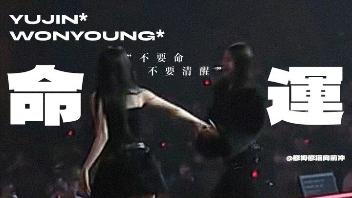 【โย่วหยวน】“ไม่แคร์ชีวิต ไม่ต้องมีสติ”