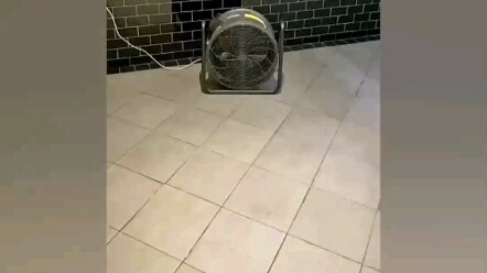 حطوا مروحة في الحمّام، بجد بغيظ! #تعليقات_بيبي_الكوميدية_الرائعة #تعليقات_رائعة #بيبي_كوميديا