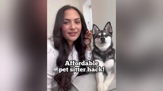 AD quite possibly the best pet sitter hack from  UK