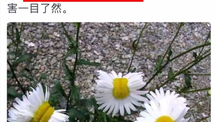 Those Stunning Real-Life Photos