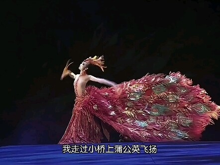 惊艳！杨丽萍孔雀舞不仅亮瞎了老外双眼，也惊艳了全国网友的眼睛