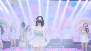 Korea Panda Class Hot