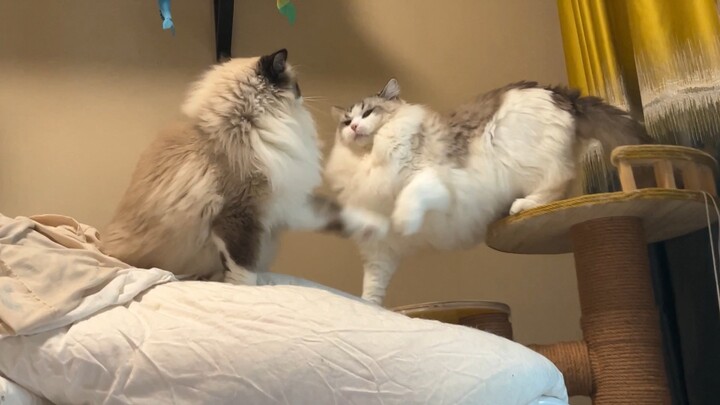 It’s a non-uploaded post. But my older brother secretly bullies my sister! He puts on this innocent,