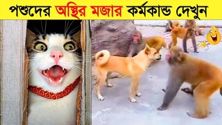 পশুদের মজার কর্মকান্ড ক্যামেরায় ধরা পড়া | Funny Animals Video 2023 (Part-19) | mayajaal