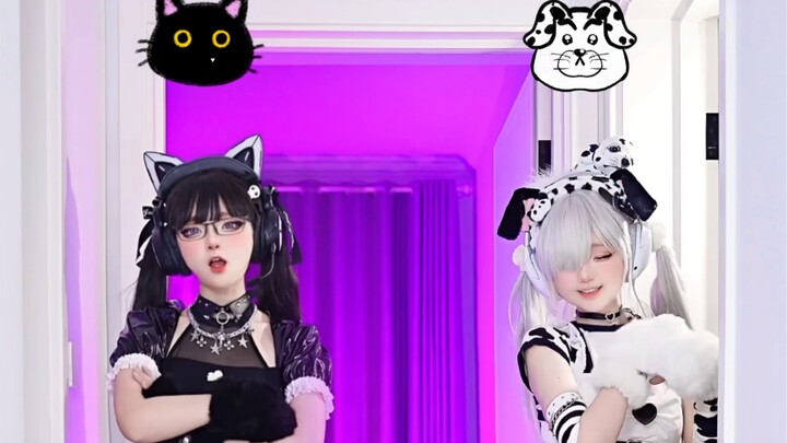 Cat type or dog type?