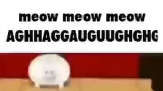 meow meow meow AGHHAGGAUGUUGHGHG