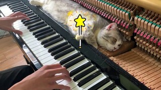 【对猫弹琴】假如我有仙女棒，变大变小变漂亮，还想要个音乐按摩椅，就和铲屎官他一个样~ || Minh Piano【斑豆搬运】