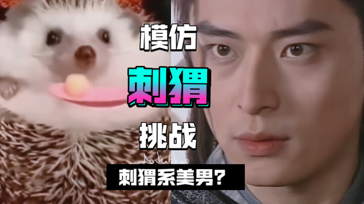 【陈冠霖】快进来看匡连海模仿刺猬挑战！是你没见过的萌萌匡