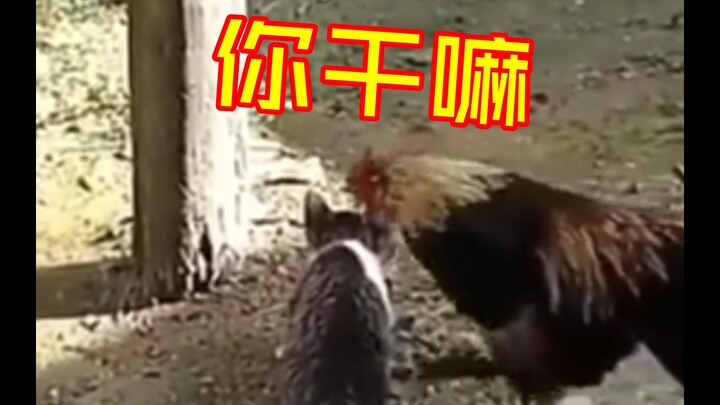 Brother Kun: When you strike this pose, I can’t keep myself in check!!!