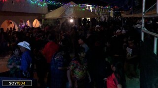 BAILANDO LA ABEJA MIOPE AL RITMO DE LA MARIMBA LA CARIÑOSA DE MI TIERRA