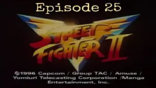 25 Street Fighter II